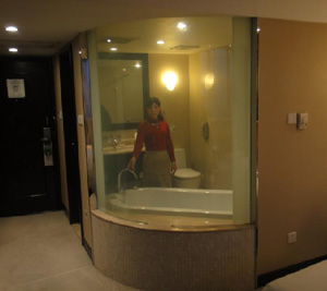 淋浴房调光玻璃